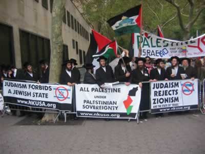 Jews Against Zionism
